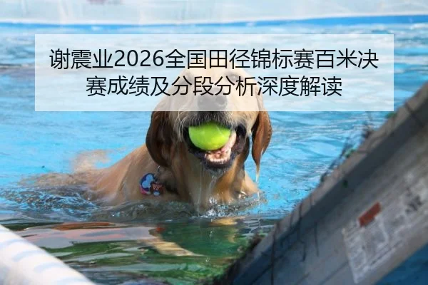 谢震业2026全国田径锦标赛百米决赛成绩及分段分析深度解读